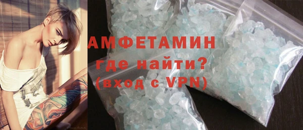трава Корсаков