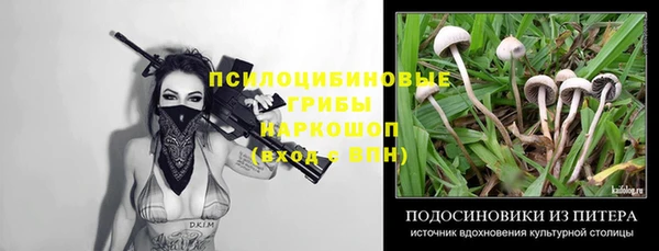 трава Корсаков