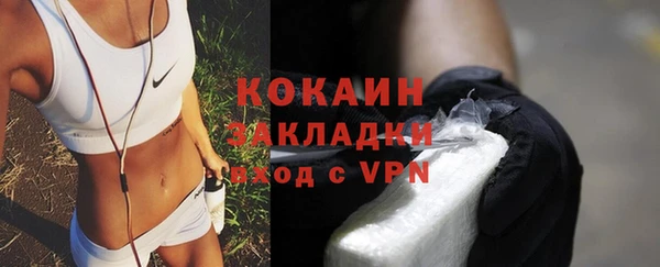 трава Корсаков