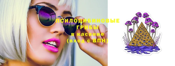мдпв Краснотурьинск