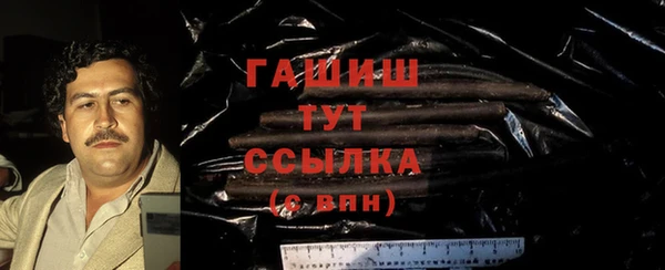трава Корсаков