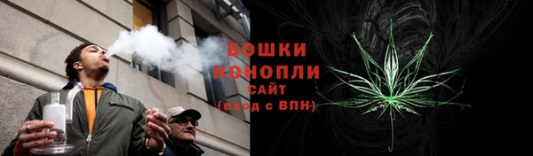 мдпв Краснотурьинск