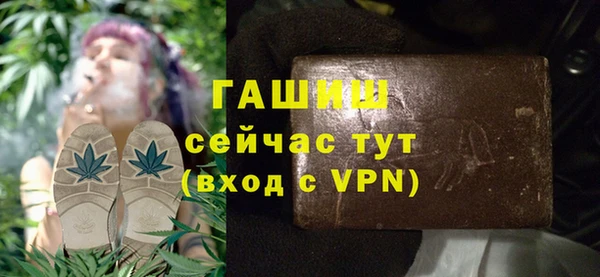трава Корсаков