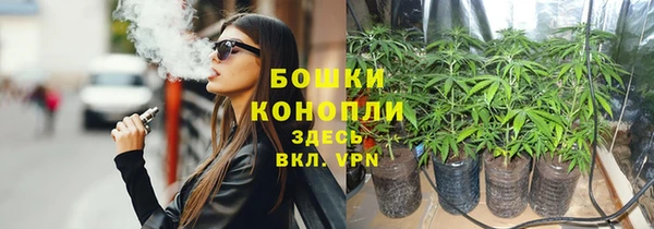 мдпв Краснотурьинск