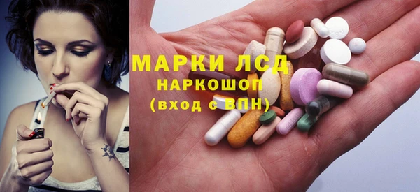 трава Корсаков